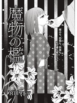 Miyata Waltz Trial Reading