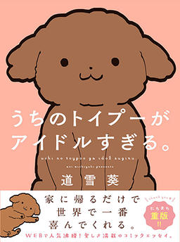 Our toy poodle is too much of an idol.