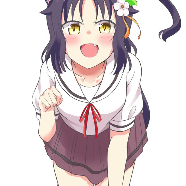 Tamako the monster cat