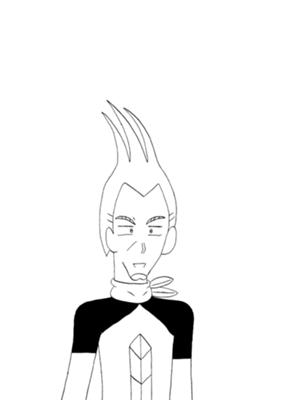 Chapter 294