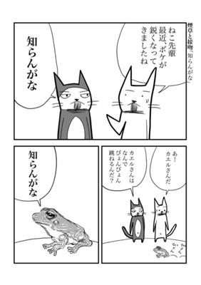 Episode 256