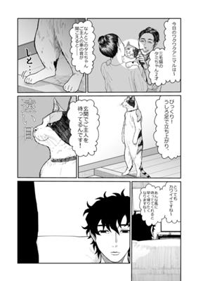 Episode 55