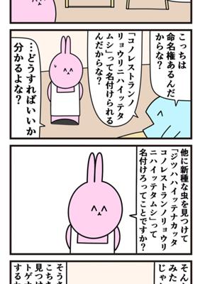 Episode 962