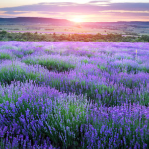 Reclaiming Your Power — Autumn 2025