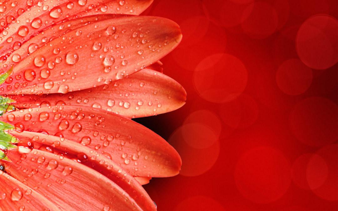 Keeping Our Hearts Open