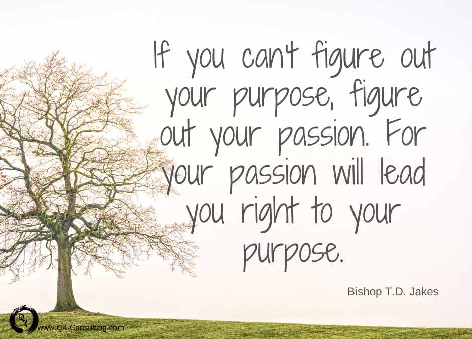 Tree-Hugging Opened Me to My Purpose