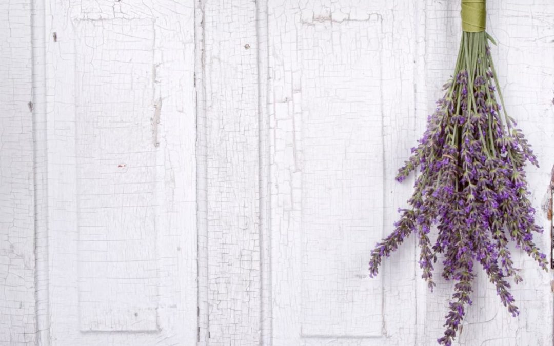What’s white space revealing to you?