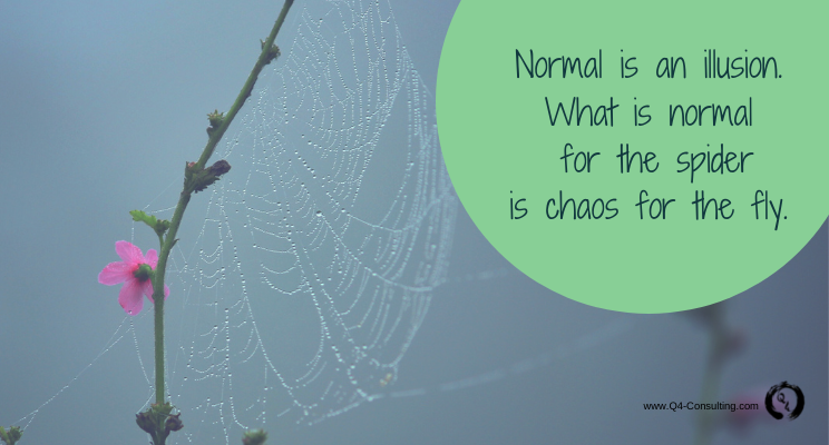 Is it Normal?